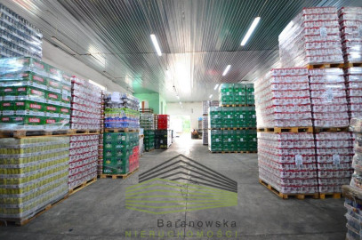 Obiekt Wynajem Gorzów Wielkopolski