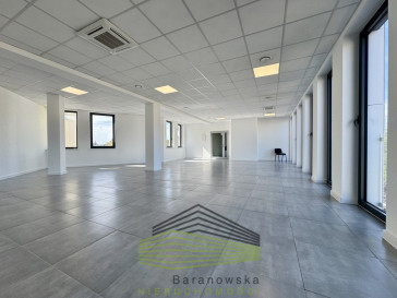 Lokal Wynajem Gorzów Wielkopolski Centrum