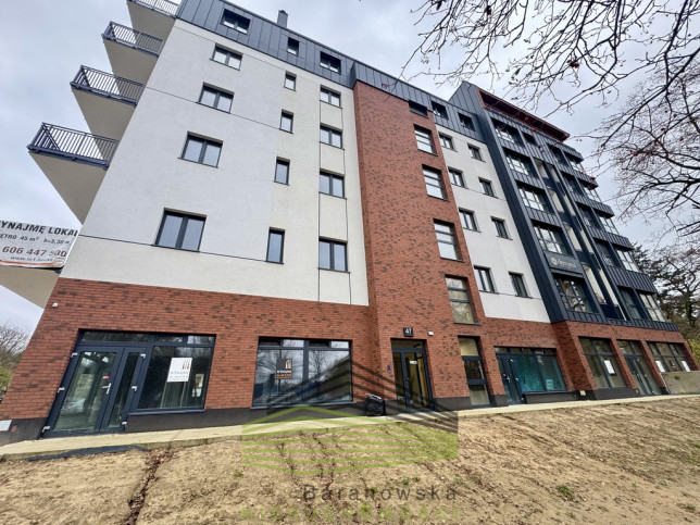 Lokal Wynajem Gorzów Wielkopolski Śródmieście 2