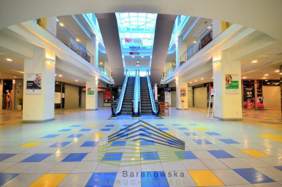 Lokal Wynajem Gorzów Wielkopolski Centrum