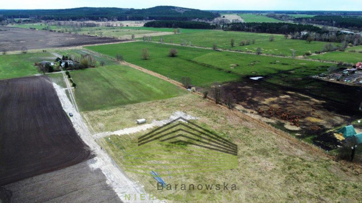 Działka Sprzedaż Skwierzyna 10