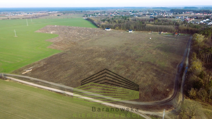 Działka Sprzedaż Janczewo 8
