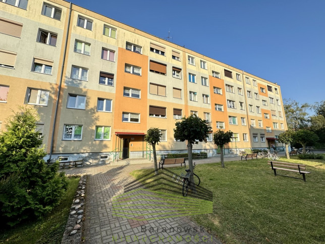 Mieszkanie Sprzedaż Strzelce Krajeńskie 19