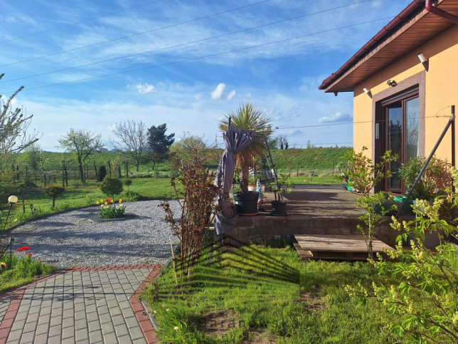 Dom Sprzedaż Gorzów Wielkopolski Zakanale 4