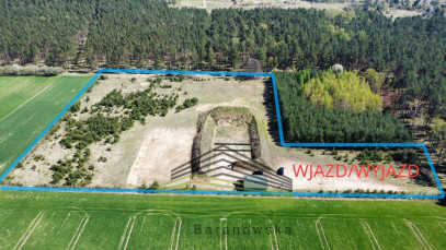 Działka Sprzedaż Płonno