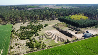 Działka Sprzedaż Płonno