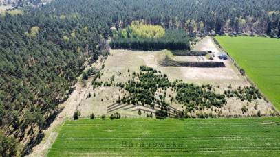 Działka Sprzedaż Płonno