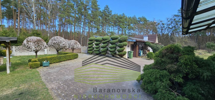Dom Sprzedaż Borówno 31