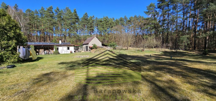 Dom Sprzedaż Borówno 35