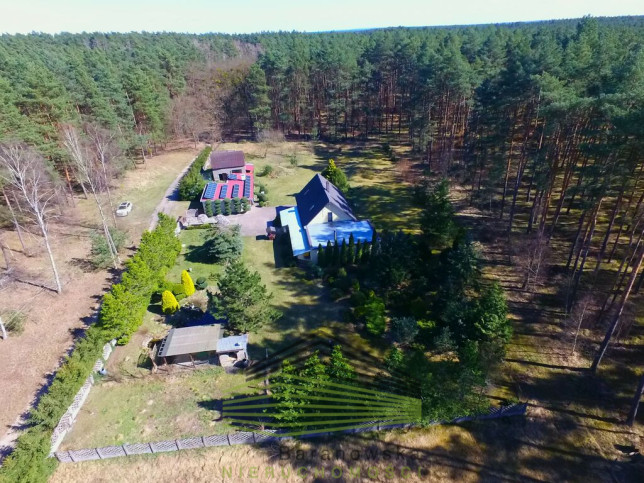 Dom Sprzedaż Borówno 42