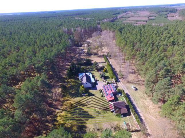 Dom Sprzedaż Borówno 47