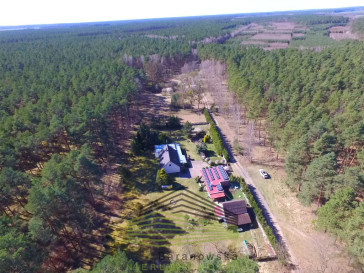 Dom Sprzedaż Borówno