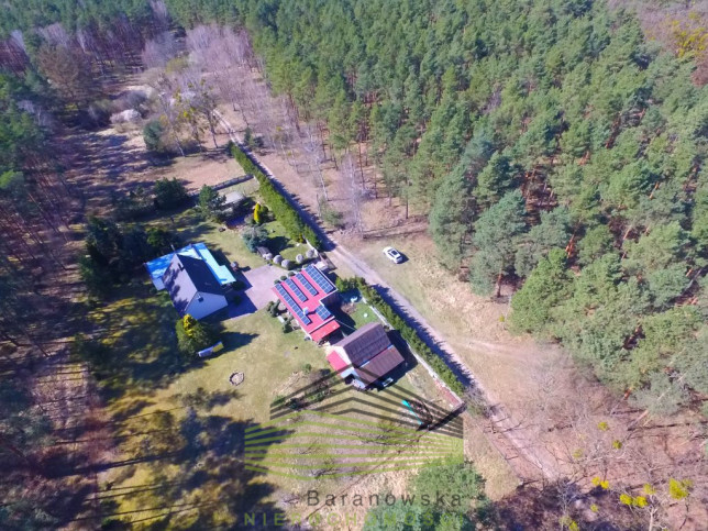 Dom Sprzedaż Borówno 49