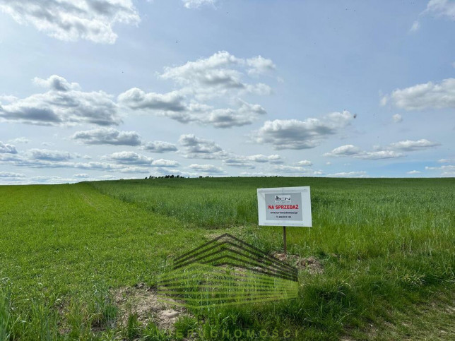 Działka Sprzedaż Janczewo 1