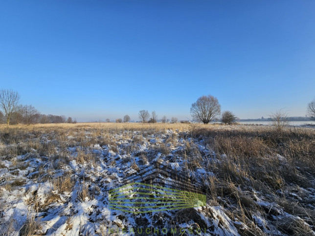 Działka Sprzedaż Ulim Rolna 3