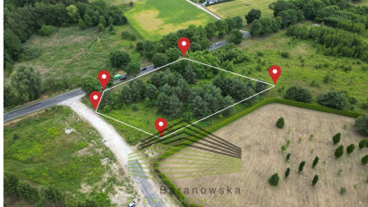 Działka Sprzedaż Różanki
