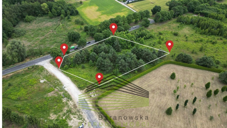 Działka Sprzedaż Różanki 1