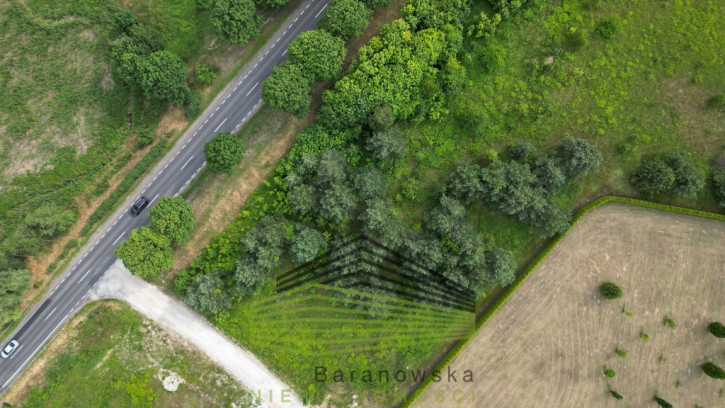Działka Sprzedaż Różanki 2