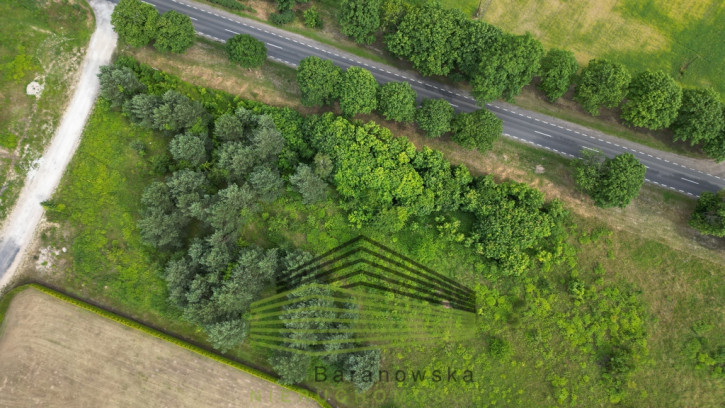 Działka Sprzedaż Różanki 22