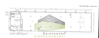 Lokal Wynajem Gorzów Wielkopolski Centrum