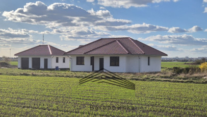 Dom Sprzedaż Gorzów Wielkopolski Siedlice Szlachecka