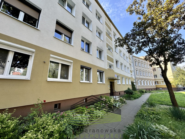 Mieszkanie Wynajem Gorzów Wielkopolski Centrum 1