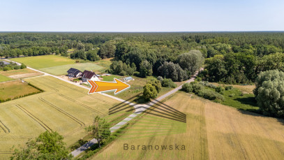 Działka Sprzedaż Różanki