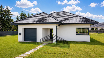 Dom Sprzedaż Gorzów Wielkopolski Zieleniec