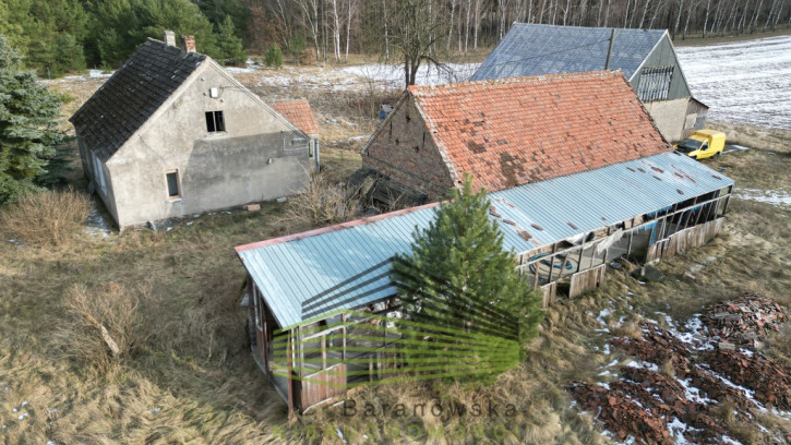 Działka Sprzedaż Kozin 19