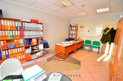 Lokal Wynajem Gorzów Wielkopolski Centrum