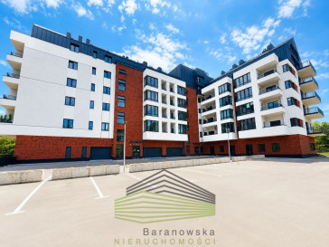 Mieszkanie Wynajem Gorzów Wielkopolski Śródmieście