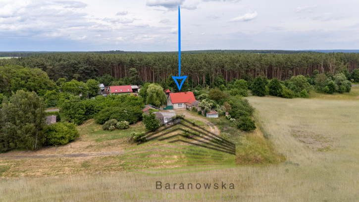 Dom Sprzedaż Mościce 1