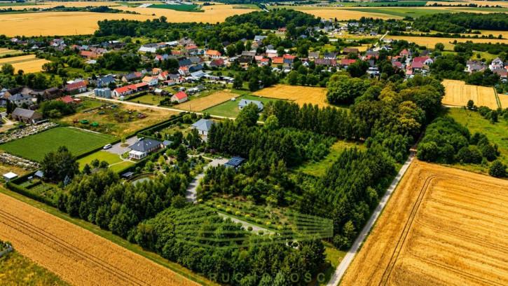 Działka Sprzedaż Gralewo 3