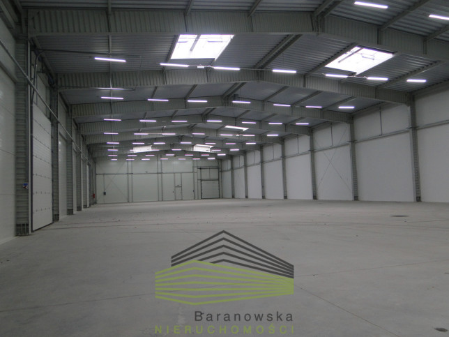 Obiekt Wynajem Gorzów Wielkopolski 2