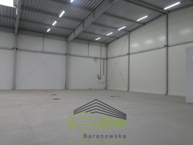 Obiekt Wynajem Gorzów Wielkopolski 8