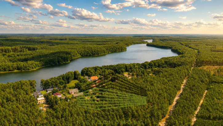 Dom Sprzedaż Zagórze 35