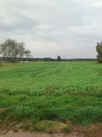 Działka Sprzedaż Ściechów