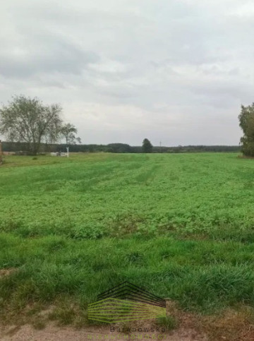 Działka Sprzedaż Ściechów 1