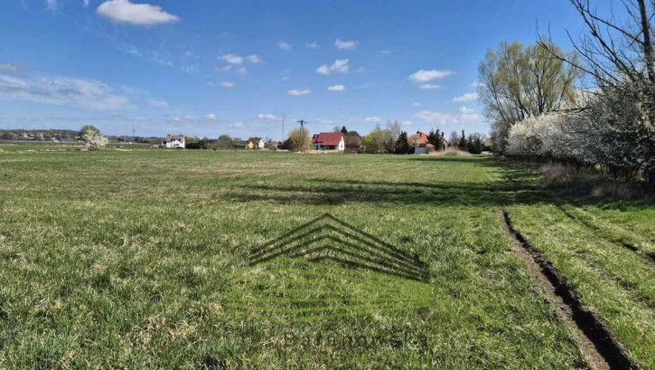 Działka Sprzedaż Wieprzyce 6