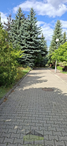 Dom Sprzedaż Gorzów Wielkopolski Górczyn 18