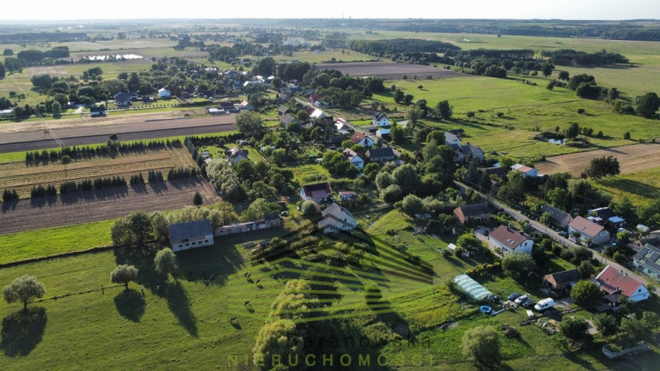 Działka Sprzedaż Borek 5
