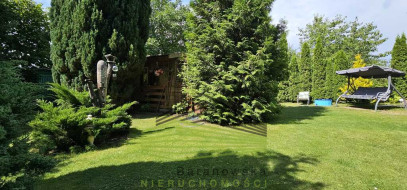 Dom Sprzedaż Gorzów Wielkopolski