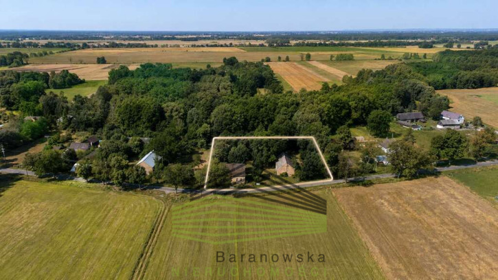 Dom Sprzedaż Gościnowo 19