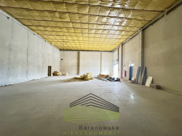 Lokal Wynajem Gorzów Wielkopolski