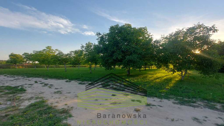 Działka Sprzedaż Santocko 8