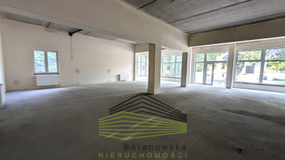 Lokal Wynajem Gorzów Wielkopolski Śródmieście