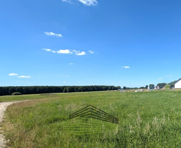Działka Sprzedaż Bolemin 1