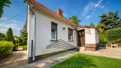 Dom Sprzedaż Gorzów Wielkopolski