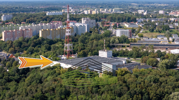 Obiekt Wynajem Gorzów Wielkopolski 2