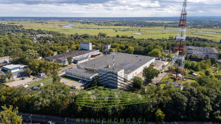 Obiekt Wynajem Gorzów Wielkopolski 1